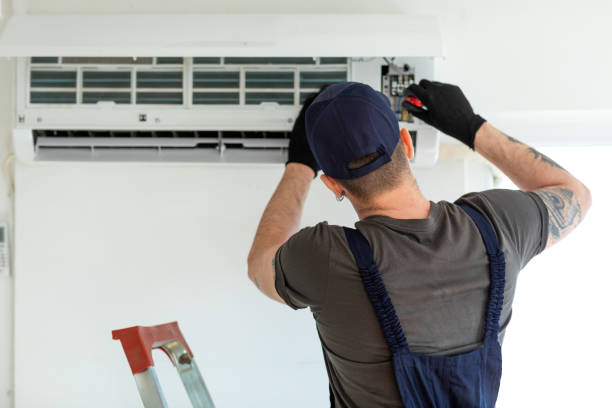Best Ductwork Cleaning Services  in Homer, MI