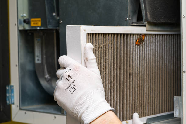 Best Local Air Duct Cleaning Services  in Homer, MI