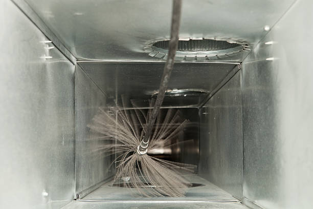 Best Dryer Vent Cleaning Services  in Homer, MI