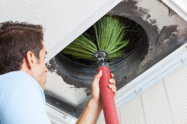 Best Air Duct Cleaning Near Me  in Homer, MI