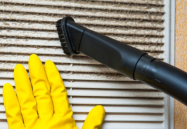 Best Professional Duct Cleaning Services  in Homer, MI