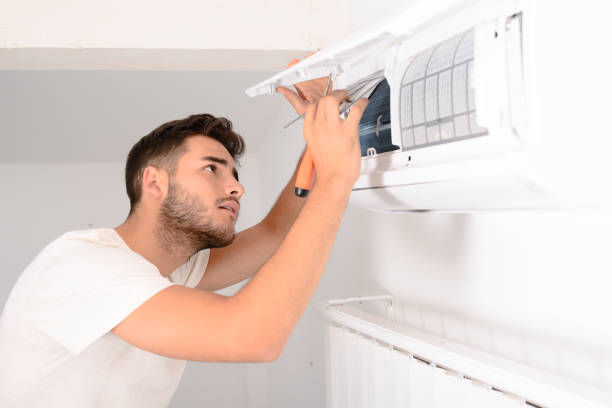 Best Air Duct Cleaning Company Near Me  in Homer, MI