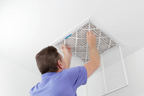 Best Home Air Vent Cleaning  in Homer, MI